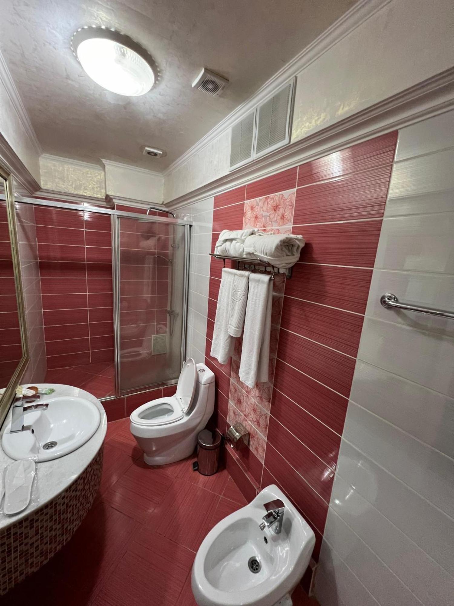 Hotel Sary Arka 3*